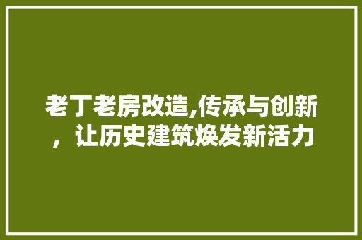 老丁老房改造,传承与创新，让历史建筑焕发新活力