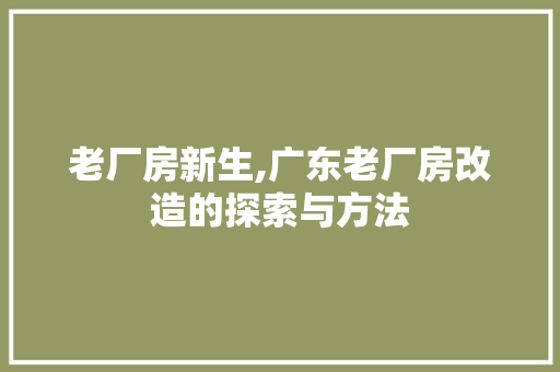 老厂房新生,广东老厂房改造的探索与方法