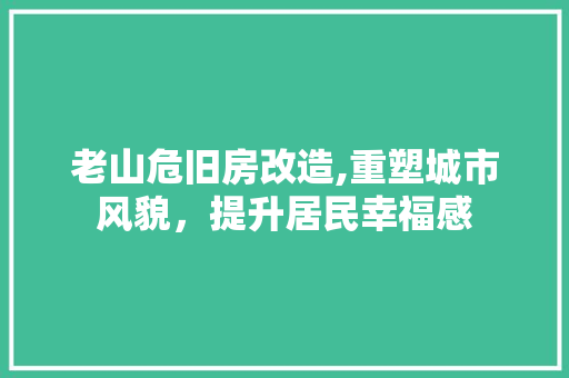 老山危旧房改造,重塑城市风貌，提升居民幸福感