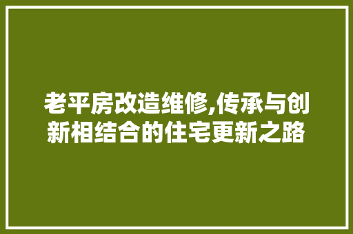 老平房改造维修,传承与创新相结合的住宅更新之路