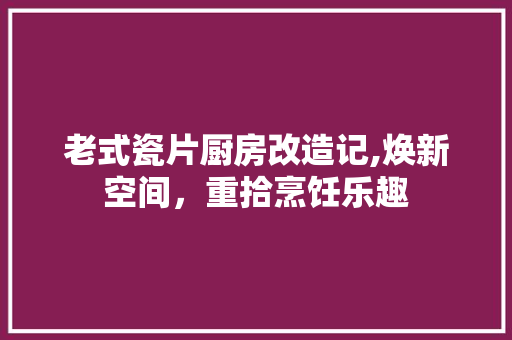 老式瓷片厨房改造记,焕新空间，重拾烹饪乐趣