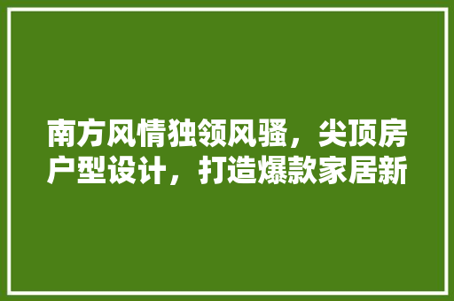 南方风情独领风骚，尖顶房户型设计，打造爆款家居新潮流！