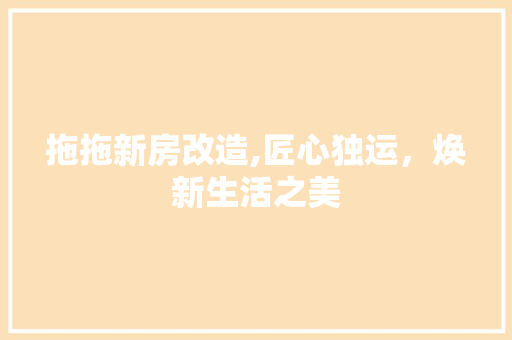 拖拖新房改造,匠心独运，焕新生活之美