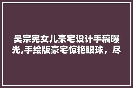 吴宗宪女儿豪宅设计手稿曝光,手绘版豪宅惊艳眼球，尽显奢华与匠心