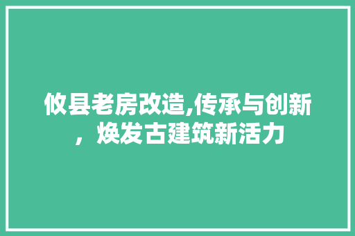 攸县老房改造,传承与创新，焕发古建筑新活力