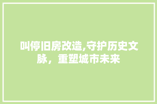 叫停旧房改造,守护历史文脉，重塑城市未来