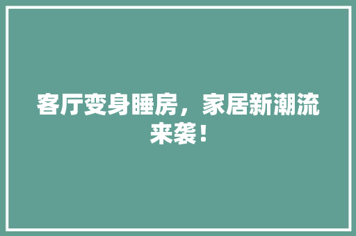 客厅变身睡房，家居新潮流来袭！