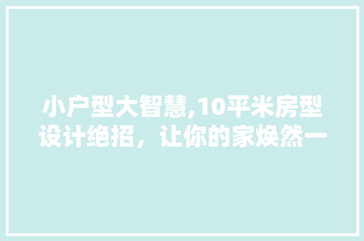 小户型大智慧,10平米房型设计绝招，让你的家焕然一新！