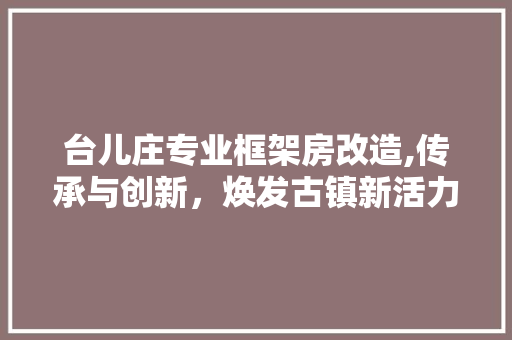 台儿庄专业框架房改造,传承与创新，焕发古镇新活力