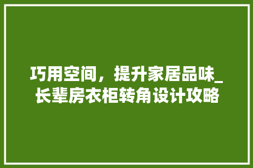 巧用空间，提升家居品味_长辈房衣柜转角设计攻略