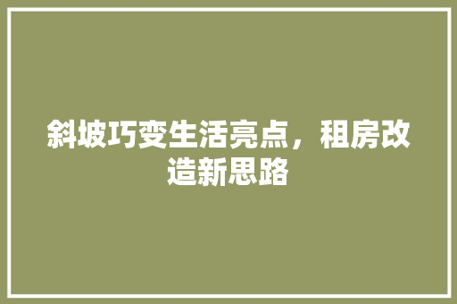 斜坡巧变生活亮点，租房改造新思路