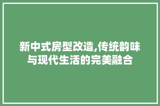 新中式房型改造,传统韵味与现代生活的完美融合