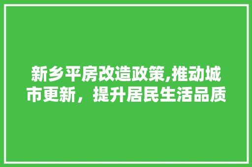 新乡平房改造政策,推动城市更新，提升居民生活品质