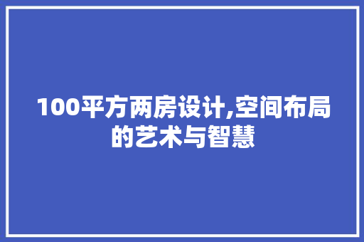 100平方两房设计,空间布局的艺术与智慧
