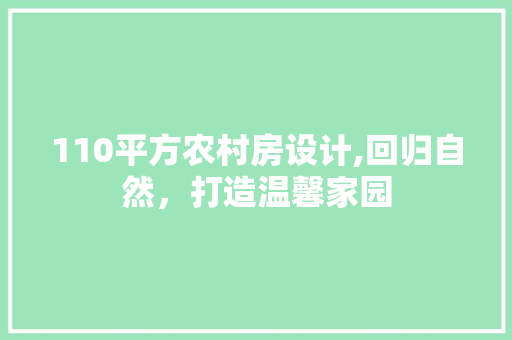 110平方农村房设计,回归自然，打造温馨家园