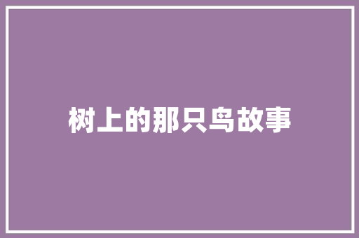 上下架房设计攻略,打造家居空间新亮点，爆款家居设计方法大公开！
