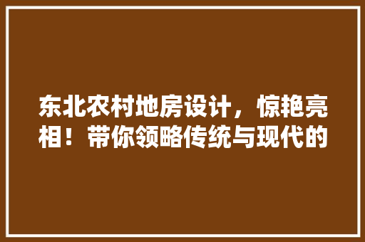 东北农村地房设计，惊艳亮相！带你领略传统与现代的完美融合