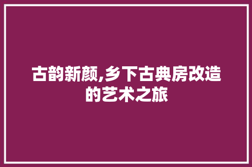 古韵新颜,乡下古典房改造的艺术之旅