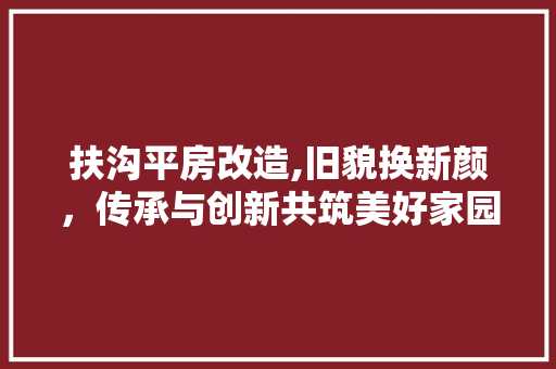 扶沟平房改造,旧貌换新颜，传承与创新共筑美好家园
