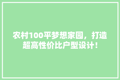 农村100平梦想家园，打造超高性价比户型设计！