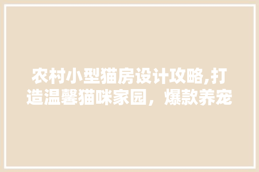 农村小型猫房设计攻略,打造温馨猫咪家园，爆款养宠必备！