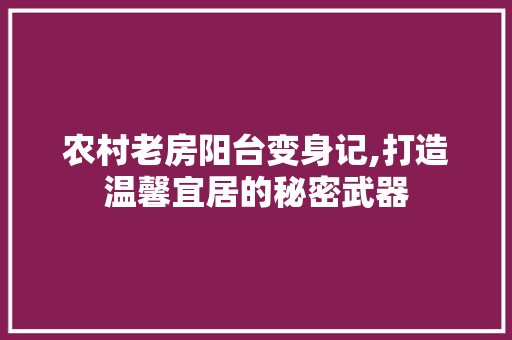 农村老房阳台变身记,打造温馨宜居的秘密武器