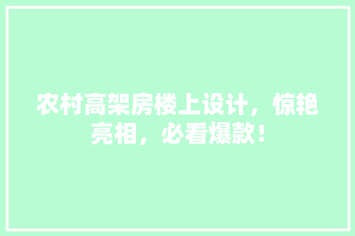 农村高架房楼上设计，惊艳亮相，必看爆款！