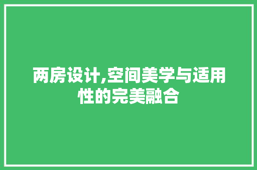 两房设计,空间美学与适用性的完美融合