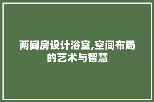 两间房设计浴室,空间布局的艺术与智慧