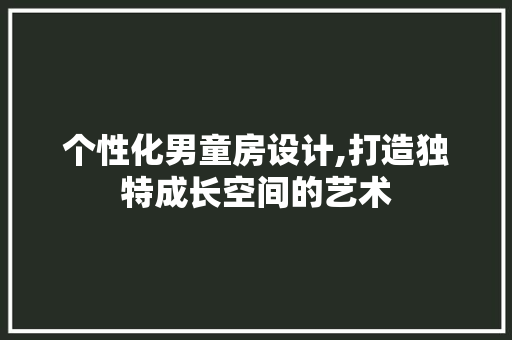 个性化男童房设计,打造独特成长空间的艺术