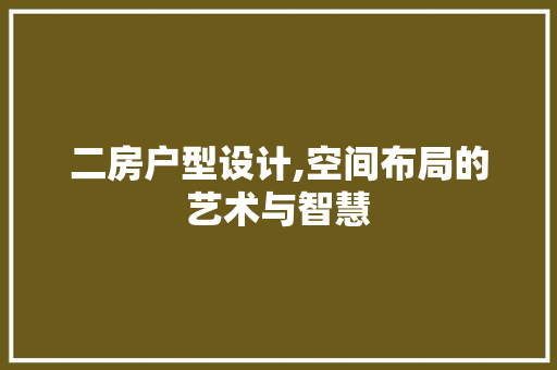 二房户型设计,空间布局的艺术与智慧