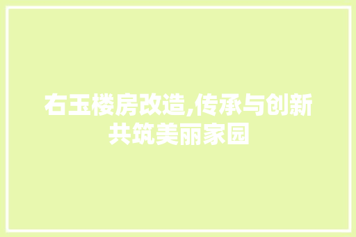 右玉楼房改造,传承与创新共筑美丽家园