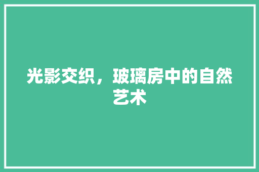 光影交织，玻璃房中的自然艺术