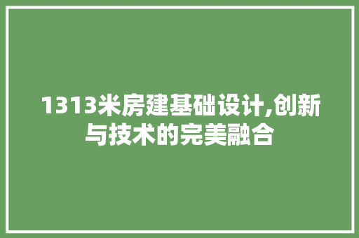 1313米房建基础设计,创新与技术的完美融合