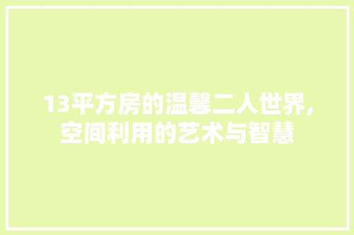 13平方房的温馨二人世界,空间利用的艺术与智慧