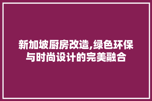 新加坡厨房改造,绿色环保与时尚设计的完美融合