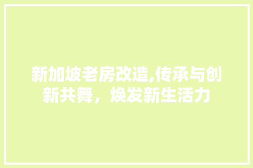 新加坡老房改造,传承与创新共舞，焕发新生活力