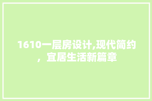 1610一层房设计,现代简约，宜居生活新篇章