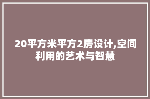 20平方米平方2房设计,空间利用的艺术与智慧