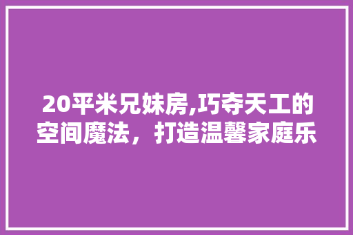 20平米兄妹房,巧夺天工的空间魔法，打造温馨家庭乐园