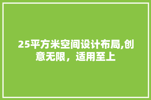 25平方米空间设计布局,创意无限，适用至上