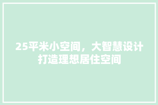 25平米小空间，大智慧设计打造理想居住空间