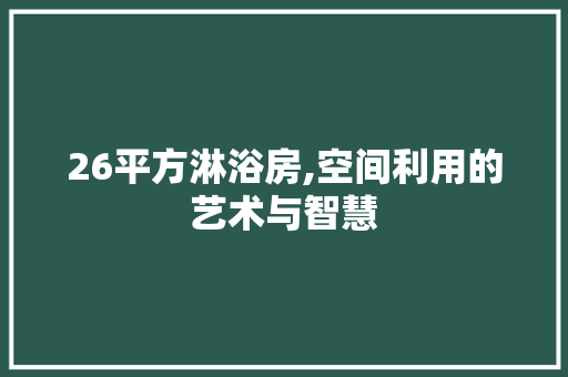 26平方淋浴房,空间利用的艺术与智慧