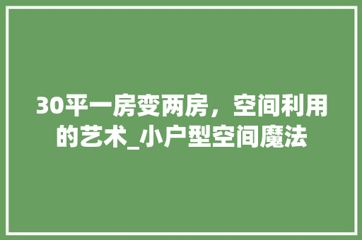 30平一房变两房，空间利用的艺术_小户型空间魔法