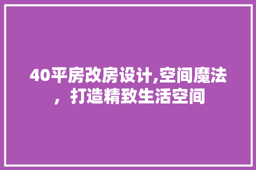 40平房改房设计,空间魔法，打造精致生活空间