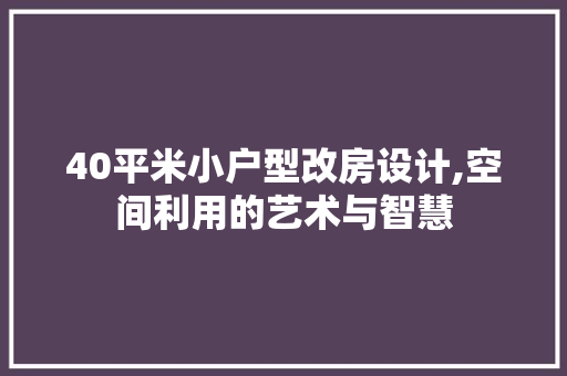 40平米小户型改房设计,空间利用的艺术与智慧
