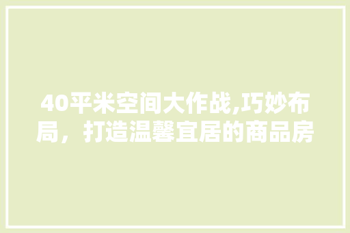 40平米空间大作战,巧妙布局，打造温馨宜居的商品房小户型