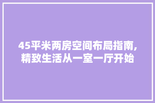 45平米两房空间布局指南,精致生活从一室一厅开始