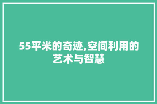 55平米的奇迹,空间利用的艺术与智慧