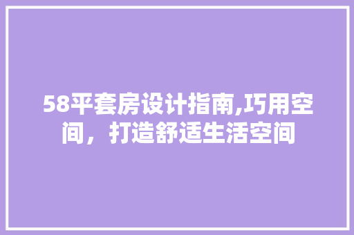 58平套房设计指南,巧用空间，打造舒适生活空间